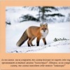 Аватар: Егор Лях