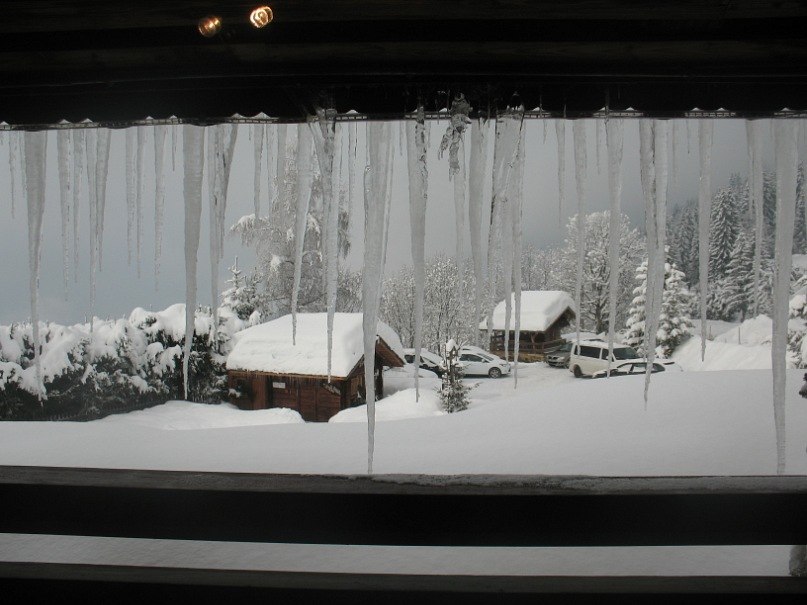 Светлана Кашина | Нижний Новгород