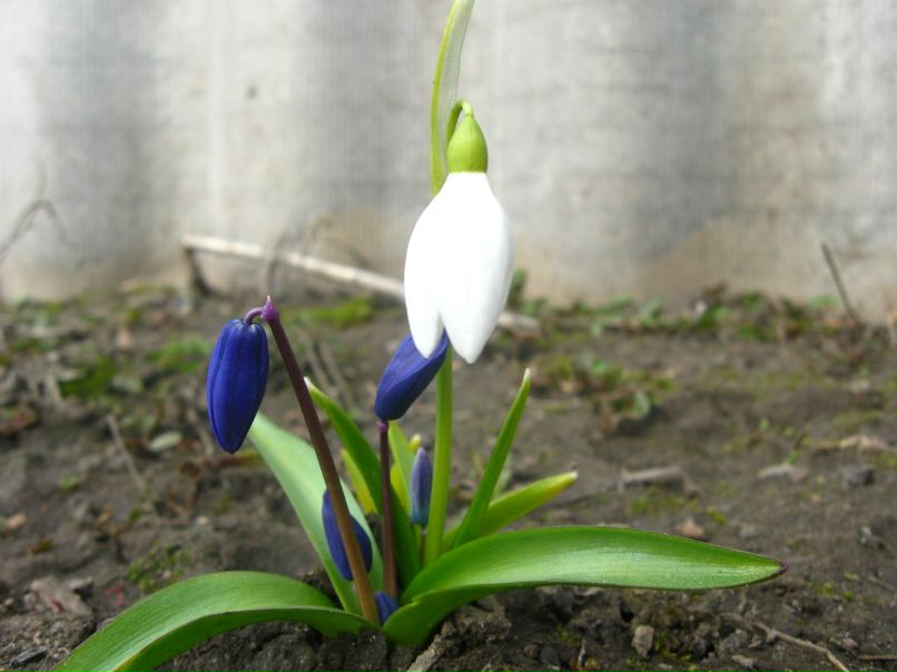 Людмила Лещенко | Чигирин