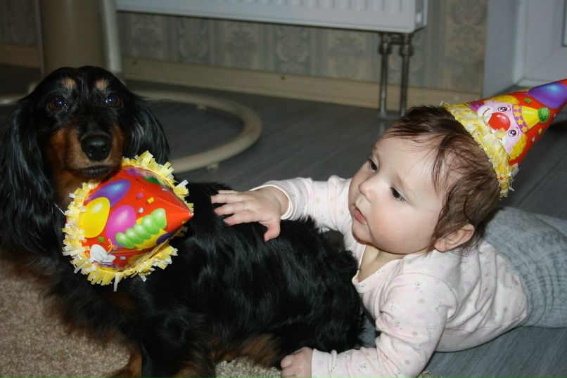 Александр Нимбов | Москва