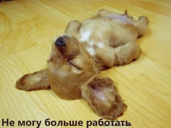 Наталья Замарина | Санкт-Петербург