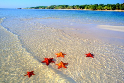 Иришка Чернышова | Колпино