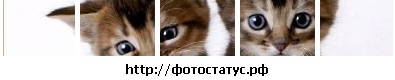 Чулпанка Шайхутдинова фото со стены #2