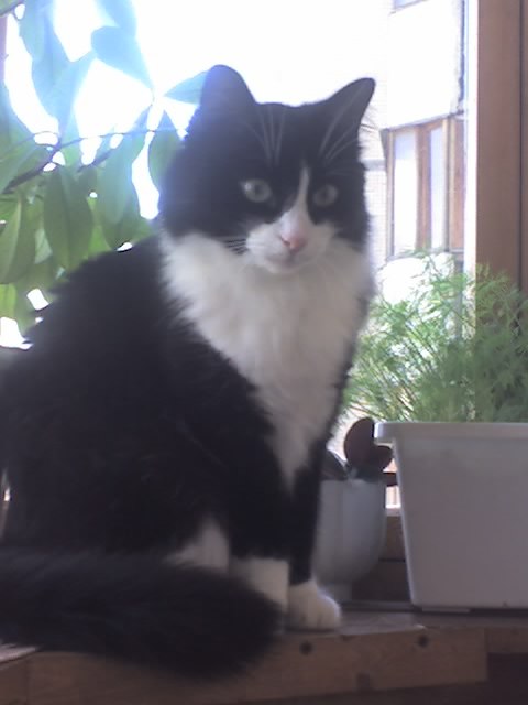 Сергей Виноградов | Санкт-Петербург