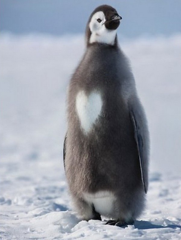 Юляша Мелешко =_) Шоколадная Сонька =_) | Харьков