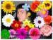 Игорь Павленко фотография #5