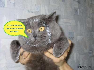 Сергей Шевченко | Смела