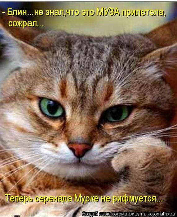 Александр Коровкин black Falcon | Самара