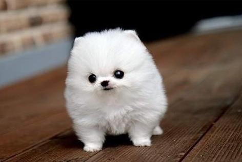 Дарья Афанасьева | Петрозаводск