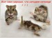 Викуся Злодюга фотография #8