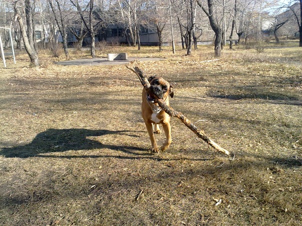 №35, Валера Ерахтин, Абакан, Россия №35, Валера Ерахтин, Абакан, Россия