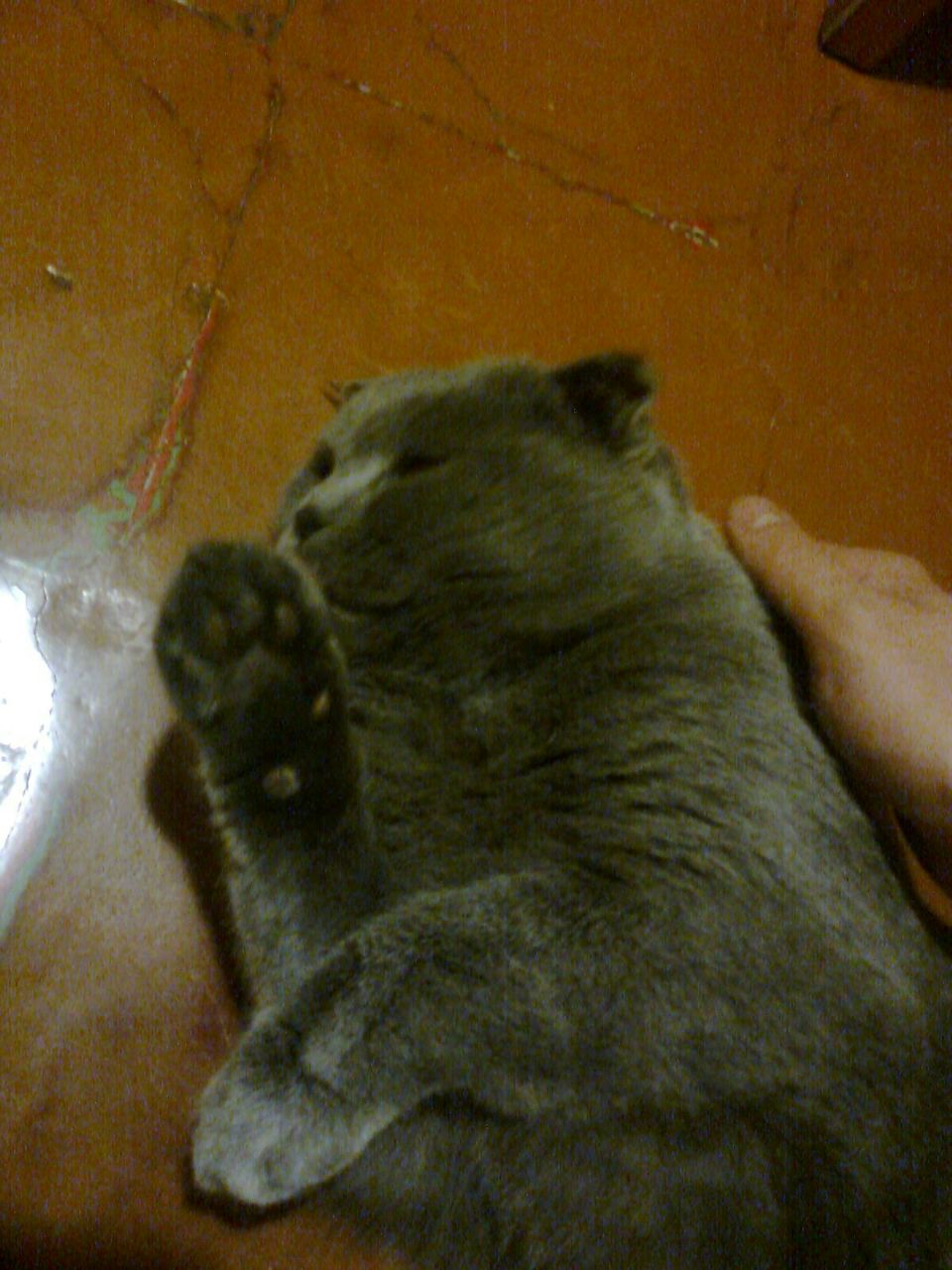 Дмитро Гапонов | 