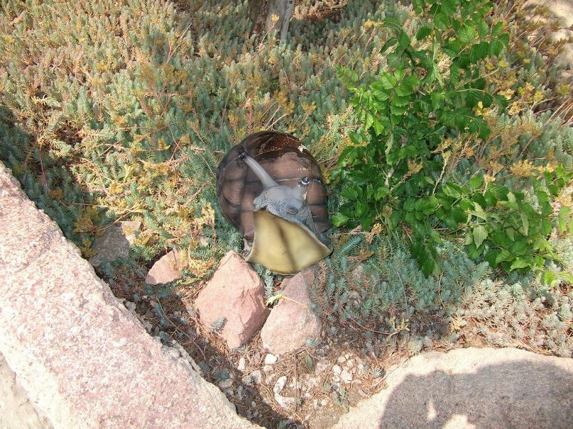 Павел Хмелевский | Кременец