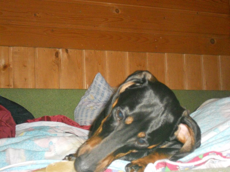 Софья Романовская | Санкт-Петербург