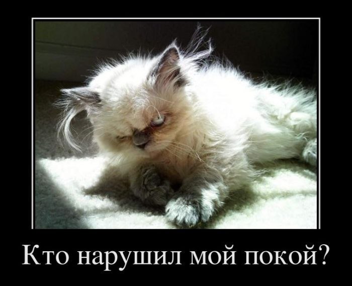 Алексей Зайковский | Гродно