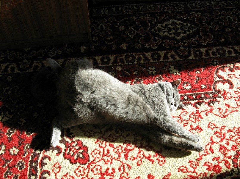 Ирина Бурлака | Донецк