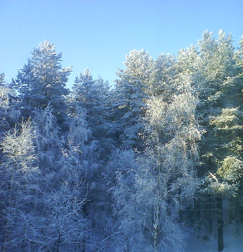 Ольга Белова | 