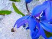 Ленчик Белоус | 