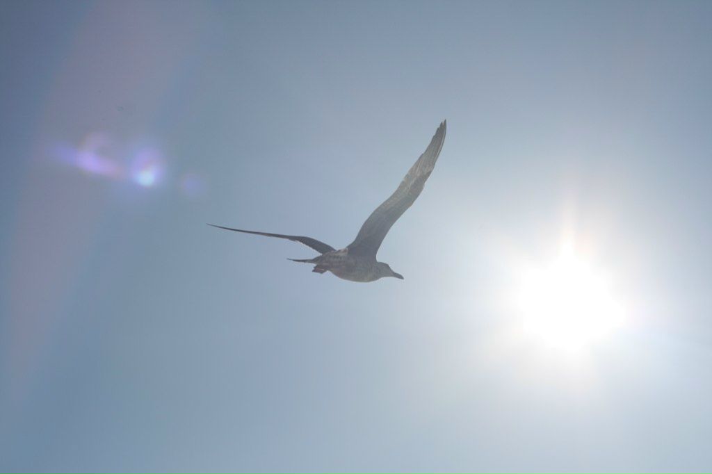 Анна Пасмурова | Санкт-Петербург