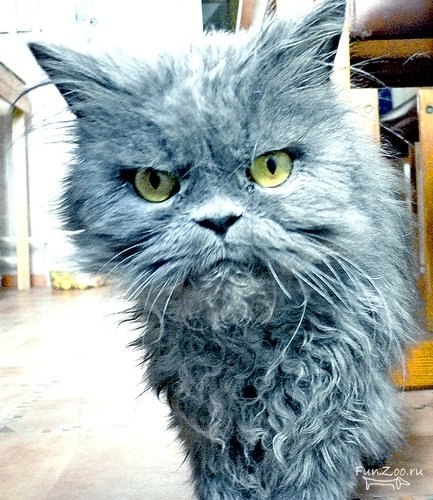 Артем Колодько Геннадиевич | Кропивницкий / Кировоград