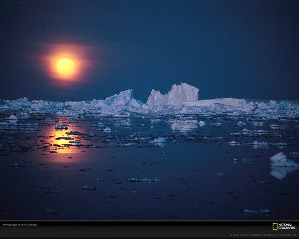 Анна Антименкова Нют | 