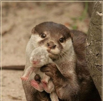 Sardana Syromyatnikova | Владивосток