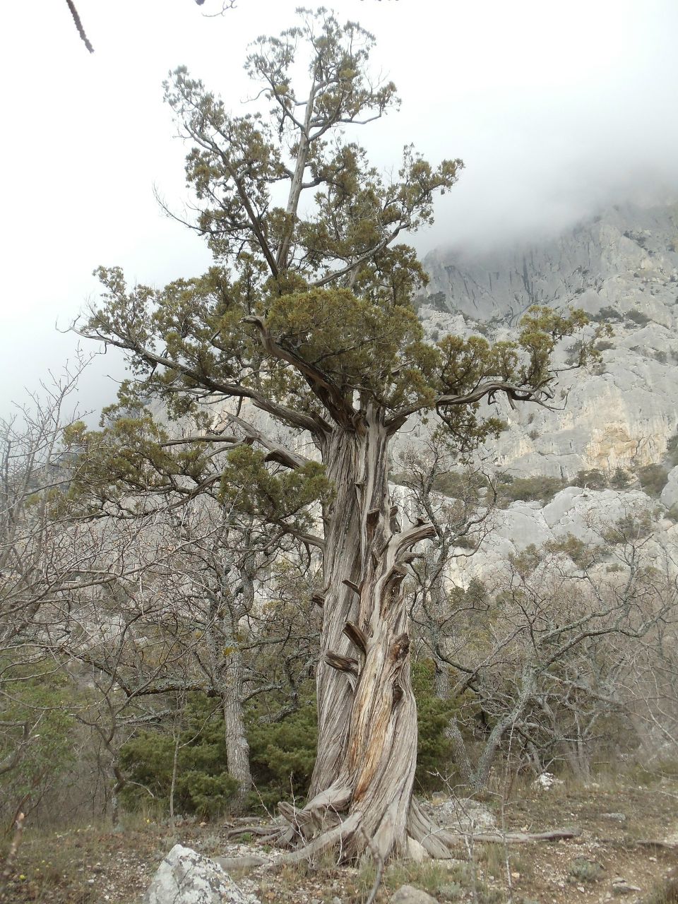 Татьяна Бархатова | Москва