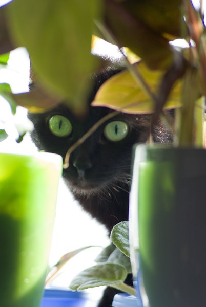 Настена Шаповалова | Киев