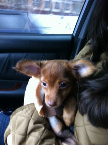 №33, Алия Отарова №33, Алия Отарова