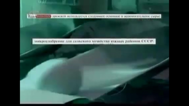 Дрожжи возбудители