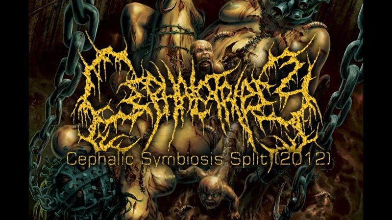 CEPHALOTRIPSY CEPHALIC