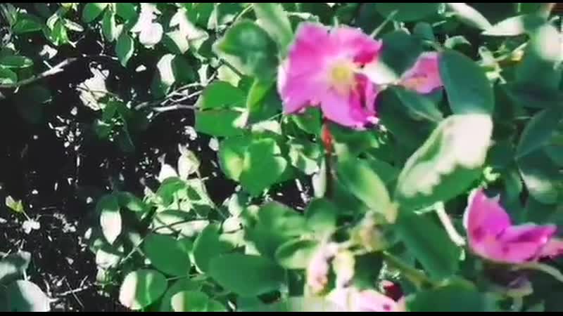 Большая ты, Россия. Фаткулина Е.