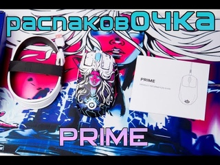 РаспаковОЧКА - Steel Series PRIME LIMITED EDITION Neo Noir (BEST ERGO 2021)