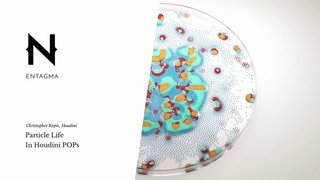 Free Houdini Tutorial: Particle Life in Houdini POPs