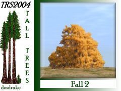Fall 2 15m