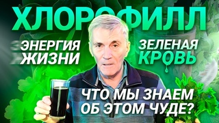 Хлорофилл хвойный жидкий  зачем нужен и как применять