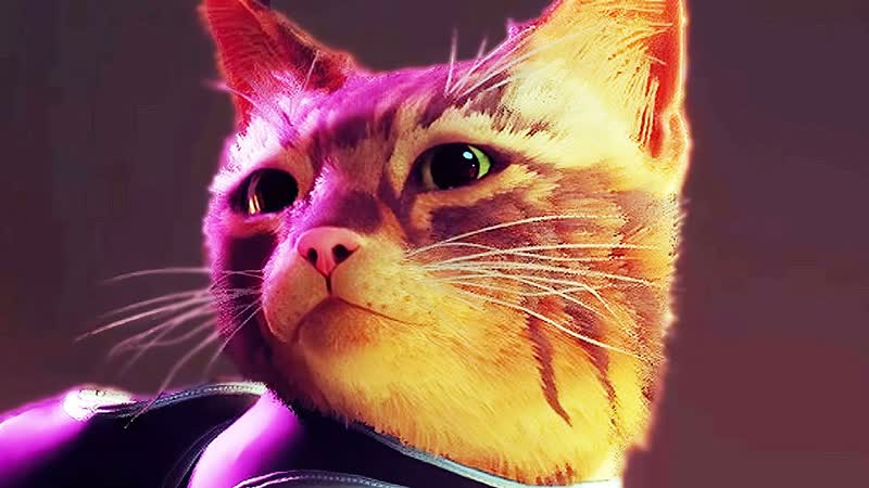 CUTE CAT SAVES THE WORLD, Stray Part