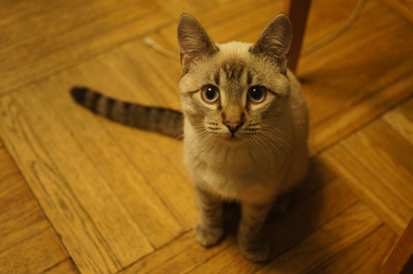 Ольга Чижова | Санкт-Петербург