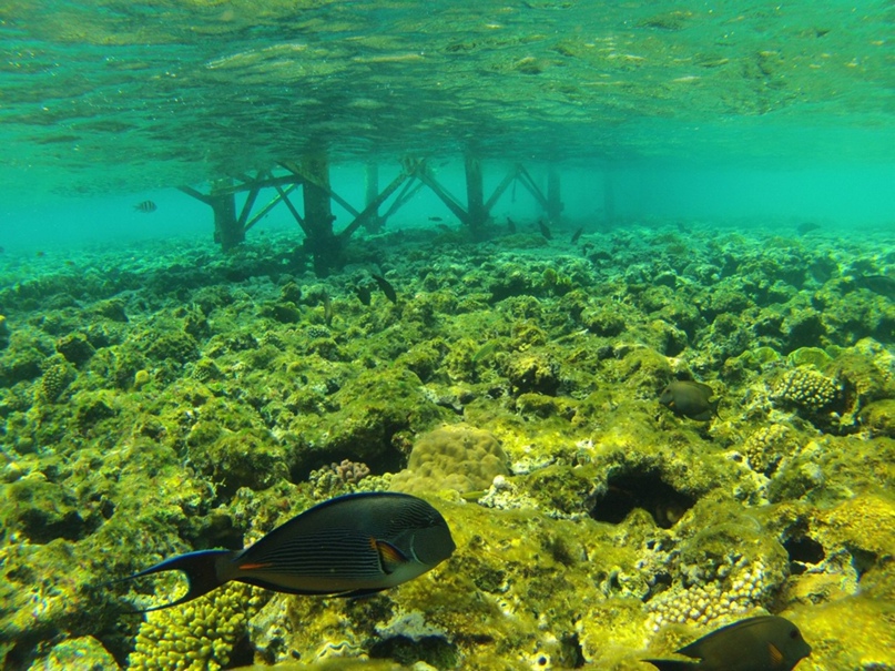 Максим Горный | Каменец-Подольский