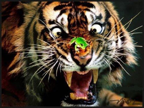 Валентин Τроненко | Новосибирск