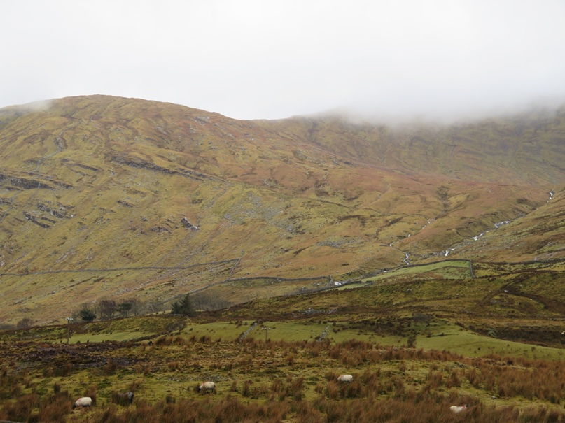 Дмитрий Соловов | Самара