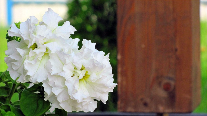 Александр Ковригин |