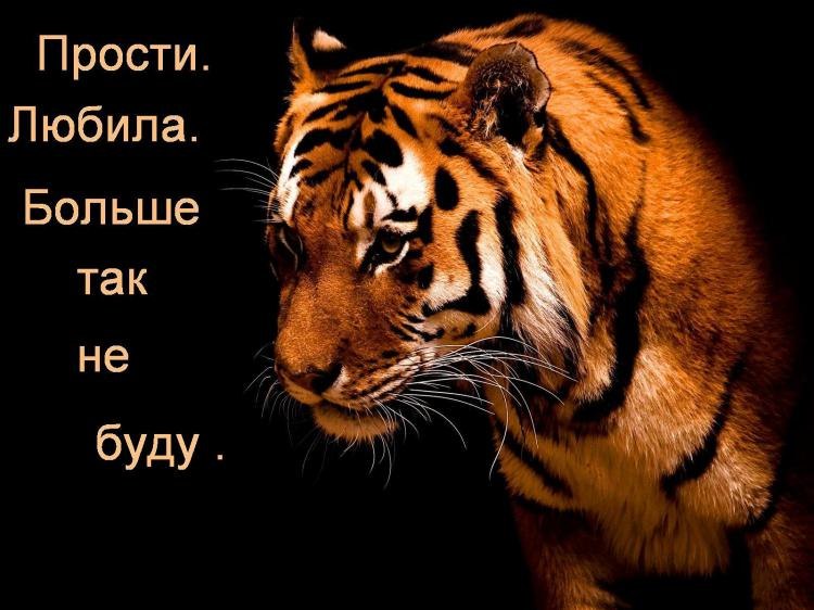 Евгения Кондратова | Курск