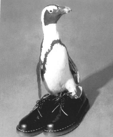 Ольга Петрова | Санкт-Петербург