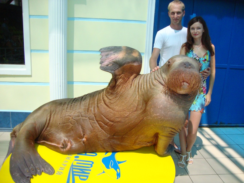 Екатерина Белых | Волгодонск