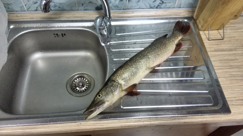 Иван Бобрик | Омск