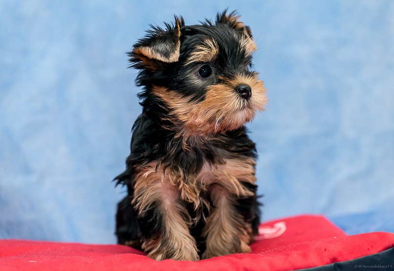 Марина Китова | Санкт-Петербург