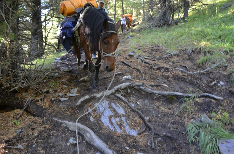 Роман Остапенко | Томск