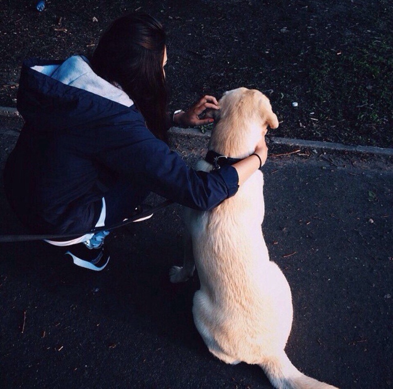 Инга Романова |