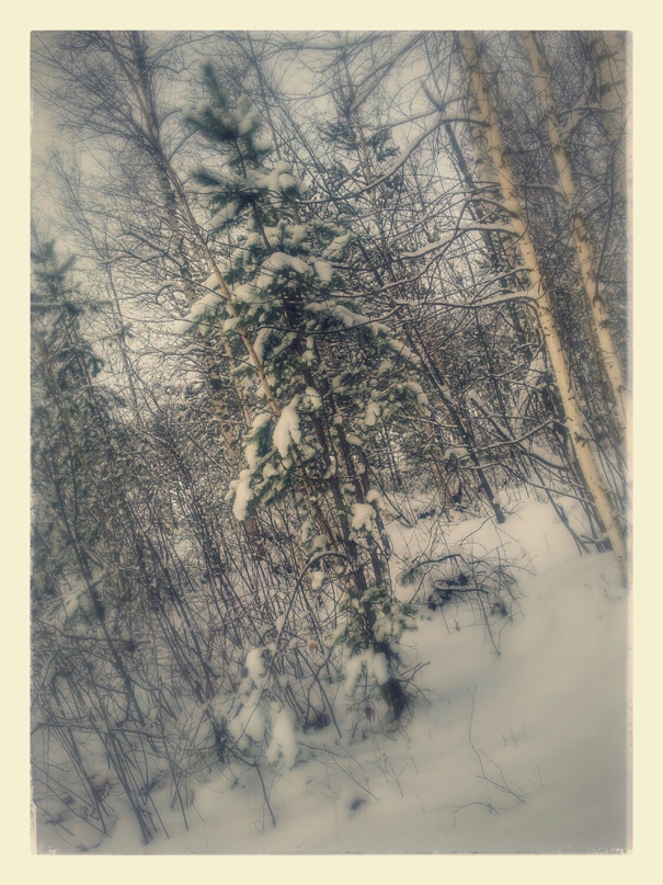 Нина Лазарева | Заволжье